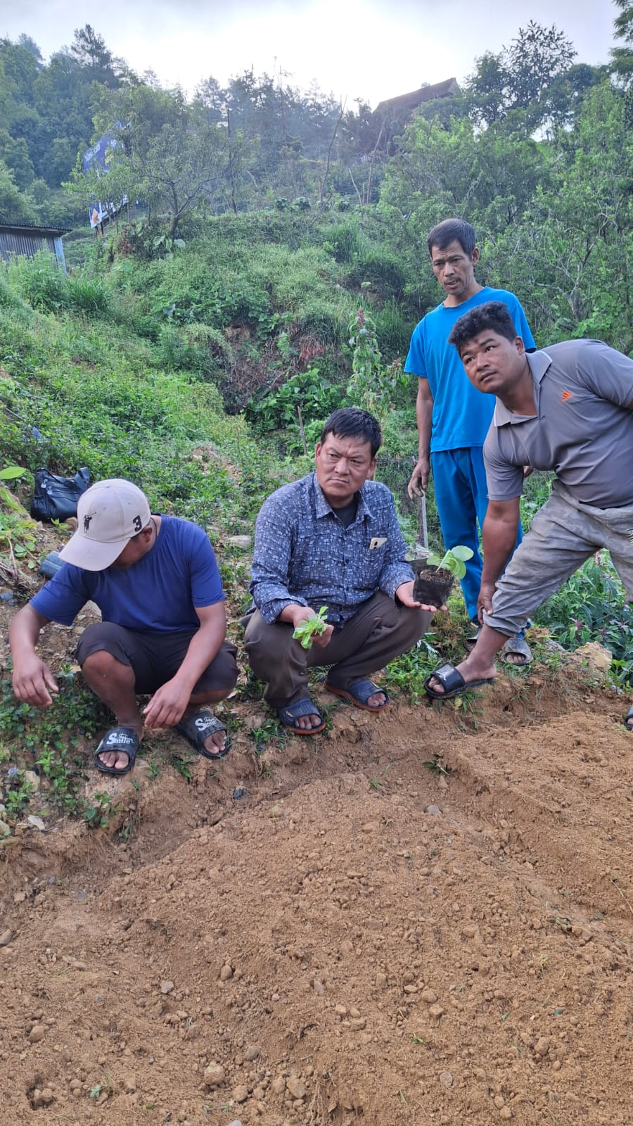 Case Stories of Ayurveda Project